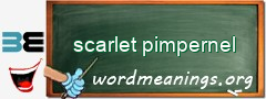 WordMeaning blackboard for scarlet pimpernel